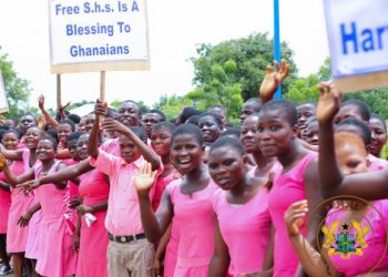Free SHS,Private schools,Education Ministry,